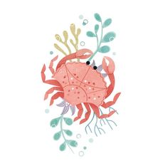 an illustration of a crab and seaweed on a white background