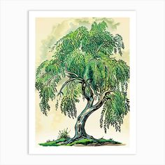 a drawing of a tree with green leaves