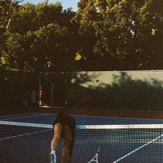 a dog standing on a tennis court holding a racquet