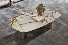 a marble coffee table with a plant on top