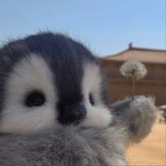 a close up of a stuffed animal holding a dandelion