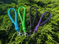 three different colored leashes are in the grass