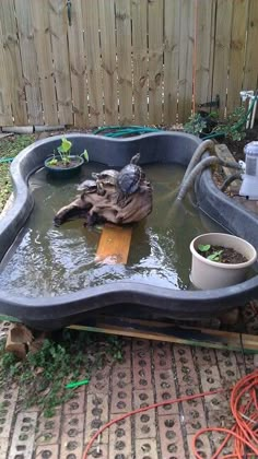 a bird bath in the middle of a backyard with plants growing out of it's sides