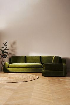 a living room with a green couch, rug and potted plant in the corner