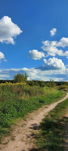 an empty dirt road in the middle of a field