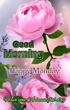 pink flowers with green leaves and the words good morning happy monday on top of it