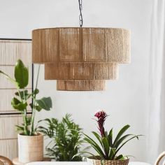 a dining room table and chairs with plants in the center, hanging lights above them