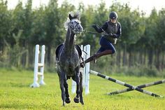 a person riding on the back of a horse jumping over an obstacle in a field