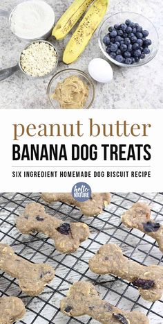 peanut butter banana dog treats on a cooling rack with blueberries and bananas in the background