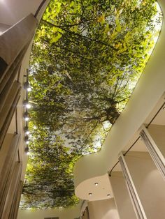 the ceiling is decorated with trees and lights