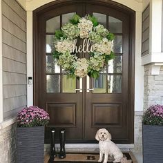 a dog sitting in front of a door with a wreath on it's side