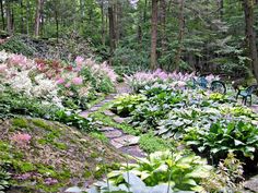 the garden is full of colorful flowers and plants