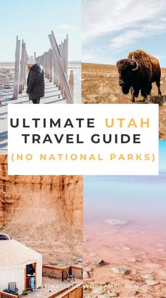 the ultimate utah travel guide is featured in this postcard with images of bisons and people