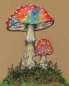 a drawing of two colorful mushrooms in the grass