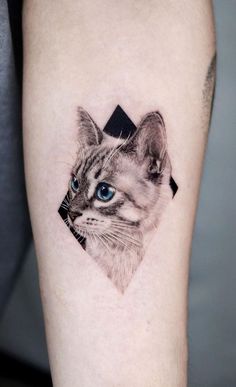 a cat with blue eyes is shown on the arm