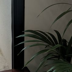 a clock on the side of a wall next to a potted plant