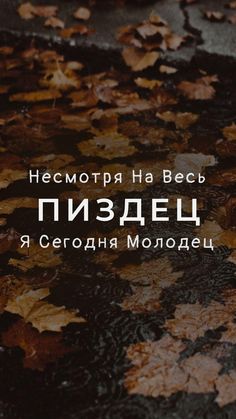 an image of leaves on the ground with words written in russian and english above it