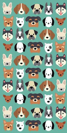 a bunch of dogs that are all different colors and sizes on a blue background with the words