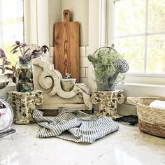 the kitchen counter is clean and ready to be used as a place for potted plants