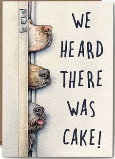 two dogs peeking out from behind a door with the words we heard there was cake