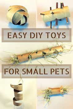 diy toys for small pets made out of toilet paper rolls and sticks with text overlay that says easy diy toys for small pets