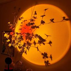 a vase with some flowers in it sitting next to a wall mounted on a wall