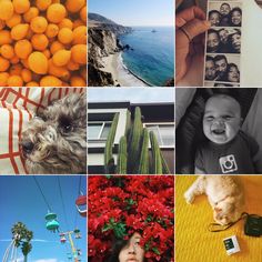 a collage of photos with oranges and pictures on them, including a baby's face