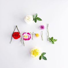 colorful flowers arranged in the shape of the word love on a white background with green leaves