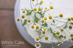 white cake with yellow and white flowers on top