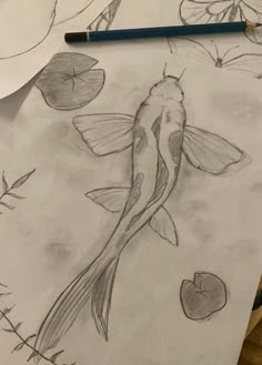 pencil drawing of a koi fish and lily pads