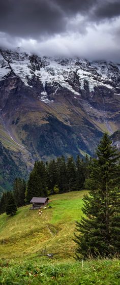 the mountains are covered in snow and green grass, with a small cabin on top