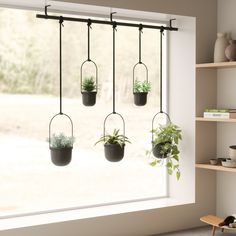 three potted plants hanging from a window sill