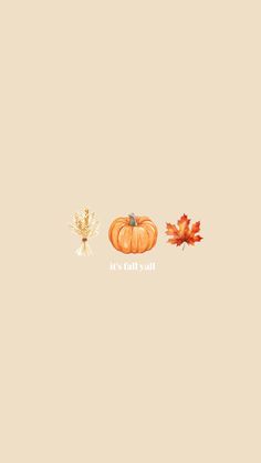 an orange pumpkin and two leaves on a beige background with the words fall written in white