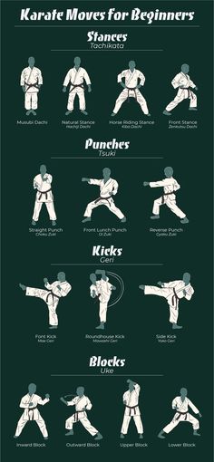 an info sheet shows how to use karate moves for beginner's martial skills