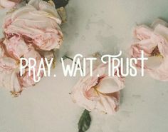 some pink flowers and the words pray wait trust