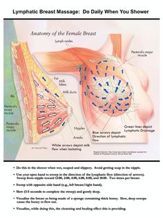 According to the instructions, this is to make sure that you have healthy blood circulation in the breast area, checking for lumps, bumps & dents in terms of signs of breast cancer 🎀 & keeping your lymph nodes healthy. Another way to check if your lymph nodes for your breast is healthy is to check your underarm pits, which are referred to in medical terms are your axillary lymph nodes. Check under your arm pits for lumps, bumps & dents. Make sure to get a natural or organic deodorant that doesn't contain aluminum, parabens, artificial dyes & preservatives, toxins, impurities & other harmful chemicals/ingredients as they can clog your axillary nodes, which can cause lumps, bumps & dents under your arm pits & breast area as well. Those harmful chemicals can cause breast cancer. How To Check Your Breast For Lumps, Linfatic System Massage, Axillary Lymph Nodes, Full Body Massage Techniques, Breast Massage, Organic Deodorant