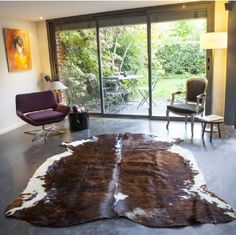 a living room filled with furniture and a large cowhide rug on the floor in front of a sliding glass door