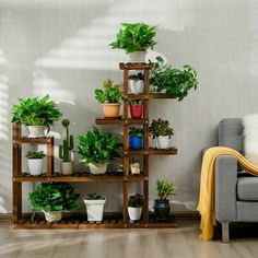 a living room filled with lots of potted plants on wooden shelves next to a gray couch