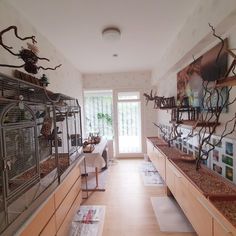 a room filled with lots of bird cages and birds on top of wooden shelves next to each other