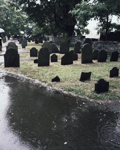 a bunch of headstones sitting on the ground in front of some trees and water