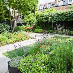 a garden filled with lots of different types of flowers