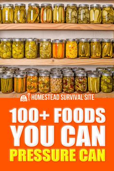 an image of canned food in jars on shelves with the words, 100 + foods you can pressure can