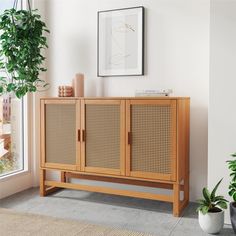 a wooden cabinet with wicker doors in front of a window next to a potted plant