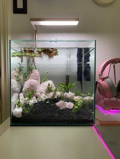 a fish tank filled with plants and rocks