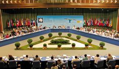 a group of people sitting at tables in front of a large screen with flags on it