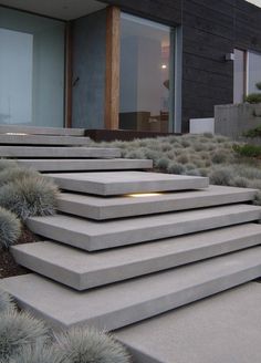 concrete steps leading up to a modern house