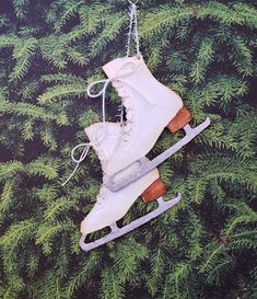 a pair of ice skates hanging from a chain on top of some green plants