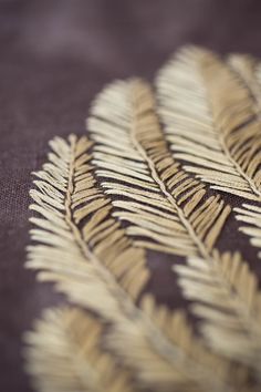 a close up image of a feather on a cloth