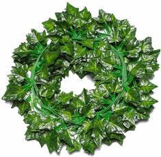 a wreath made out of green leaves on a white background