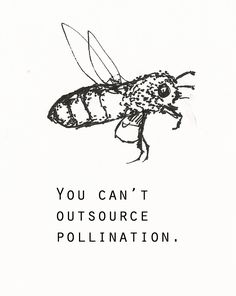 a black and white drawing of a bee with the words you can't outsource pollination